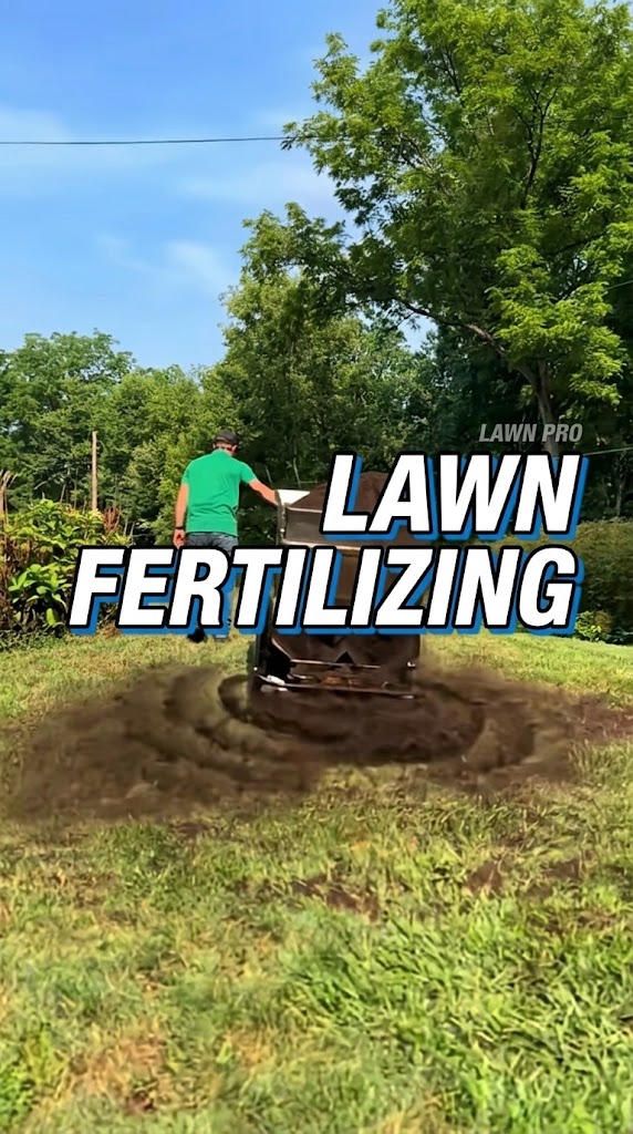 Secrets to a Flawless Lawn Unifi Coverage