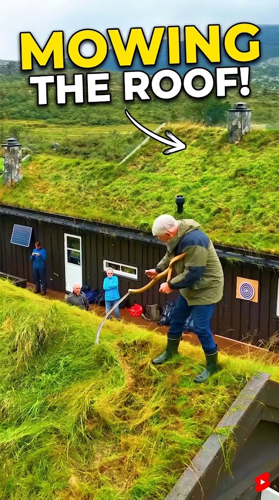 Norway Grass Roofs Unifi Coverage